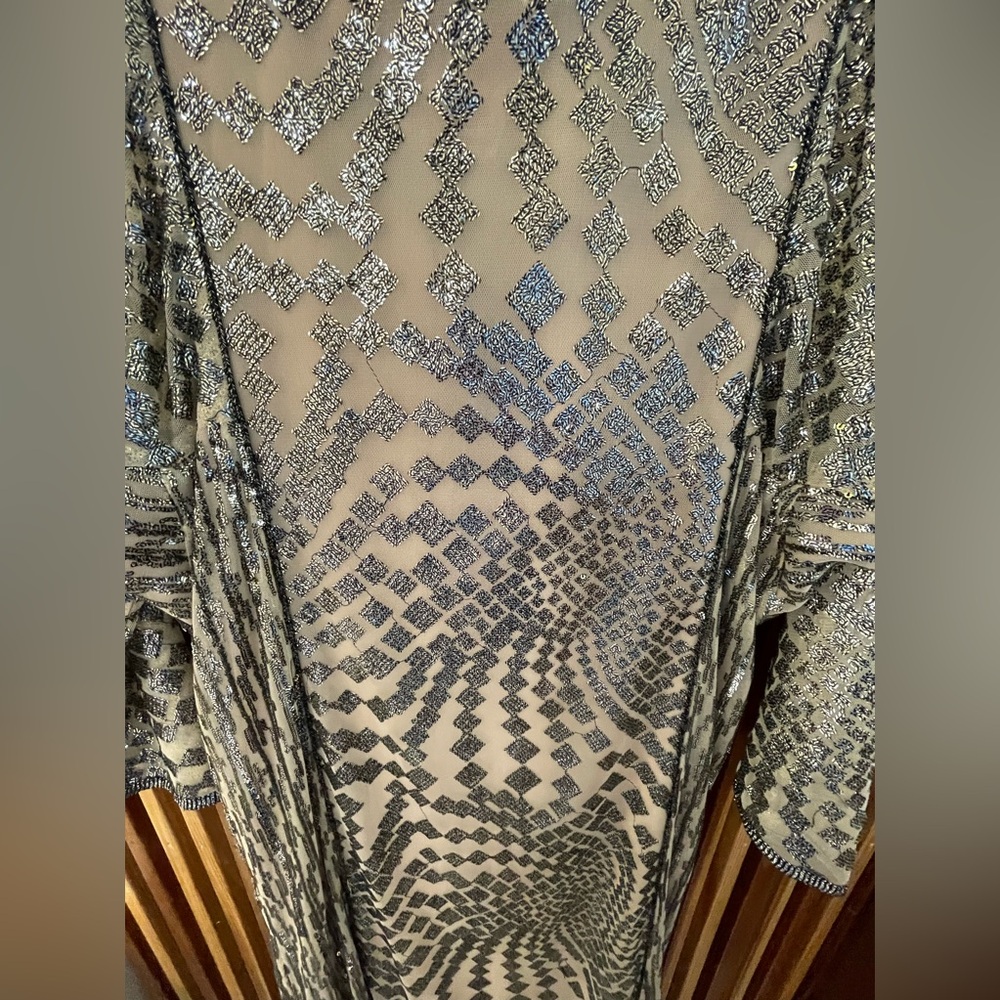 HOST PICK!   Iconic Free People Silver Maxi Dress🪩🪩🪩🪩🪩 - Picture 6 of 9